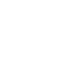 secure icon