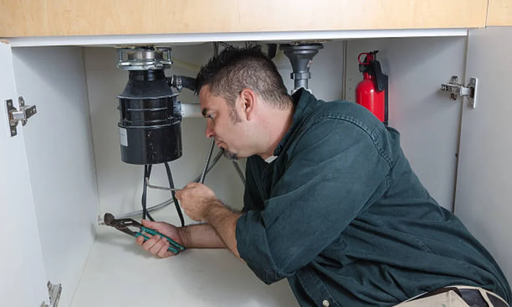 can you put drain cleaner in garbage disposal